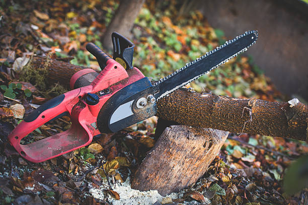 Best Tree Risk Assessment  in Elliston, VA